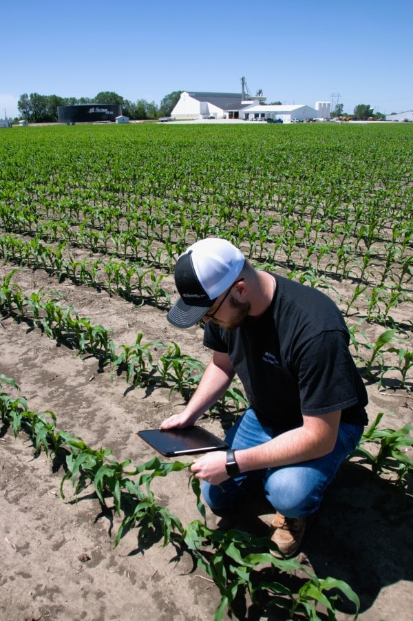 Crop specialist assessing field